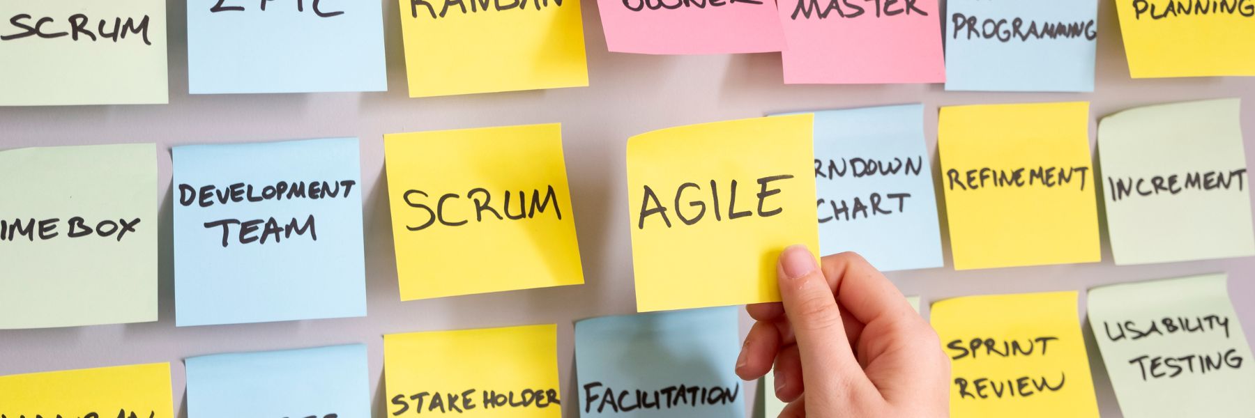 Business Agility: The New Norm for Project