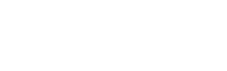 VASS Company