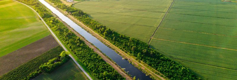 Emerging Trends in Environmental Management