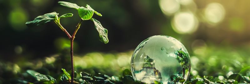 Principles of Sustainability in Tourism