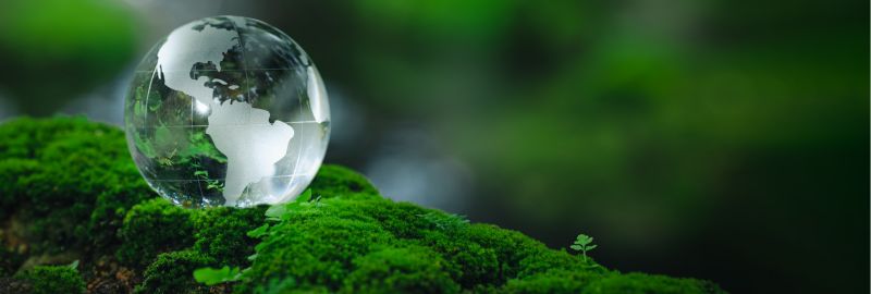 Net Zero en el contexto de la energía y los servicios públicos