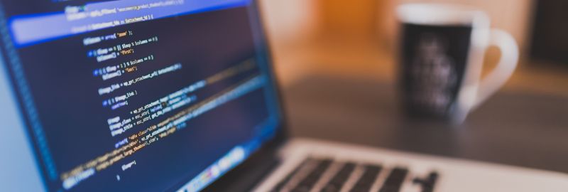 Vass Foto Blog interior - 1