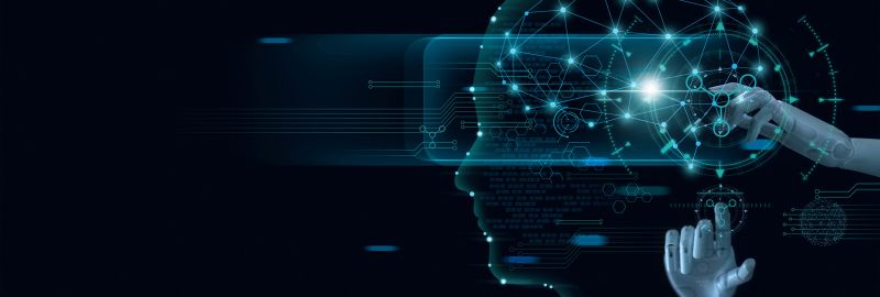 Vass Foto Blog interior - 1