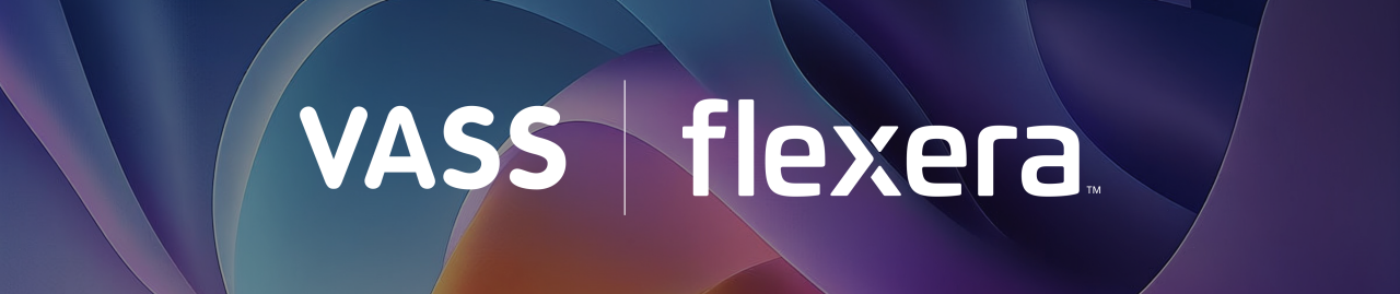 VASS x Flexera