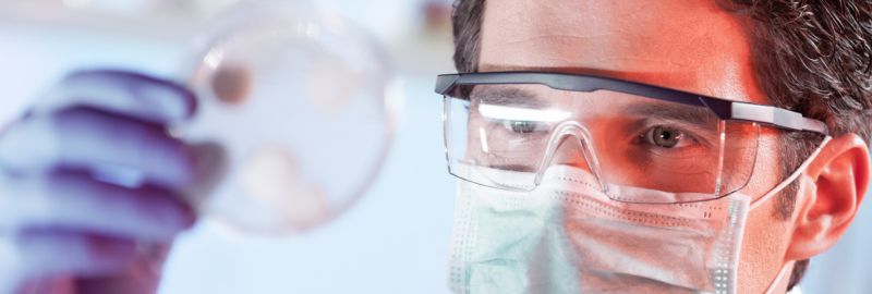Vass Foto Blog interior - 1 Life Science Today