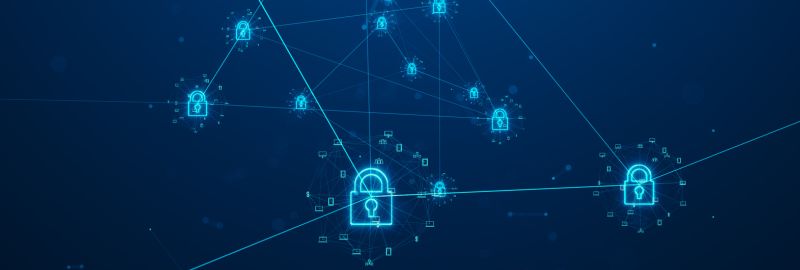 Vass Foto Blog interior - 1