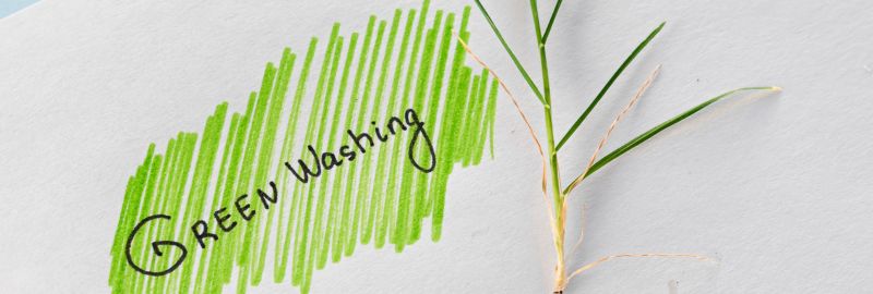 Challenges and Critiques of Green Finance